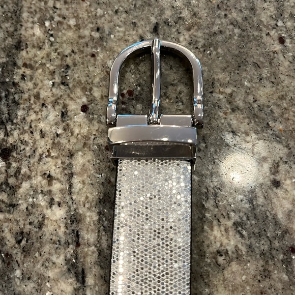 Silver Belt with Silver Hardware. NWOT - Picture 3 of 6